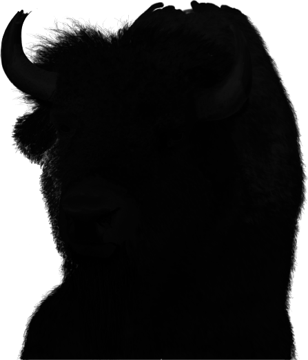 Bison Dark