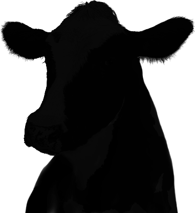 Holstein Dark